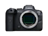Aparat Canon EOS R6