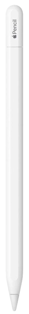 Rysik Apple Pencil (USB-C)