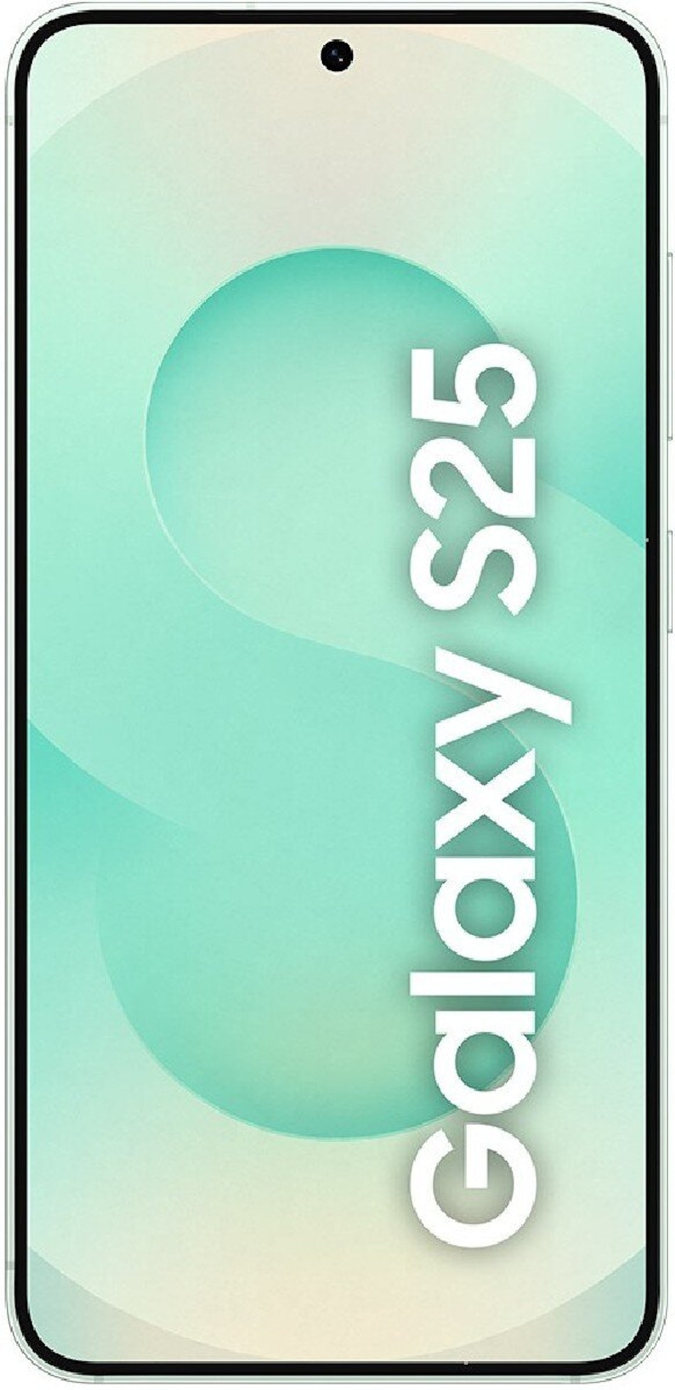 Smartfon Samsung Galaxy S25 5G 12/256GB Zielony Smartfon Samsung Galaxy S25 5G 12/256GB Zielony