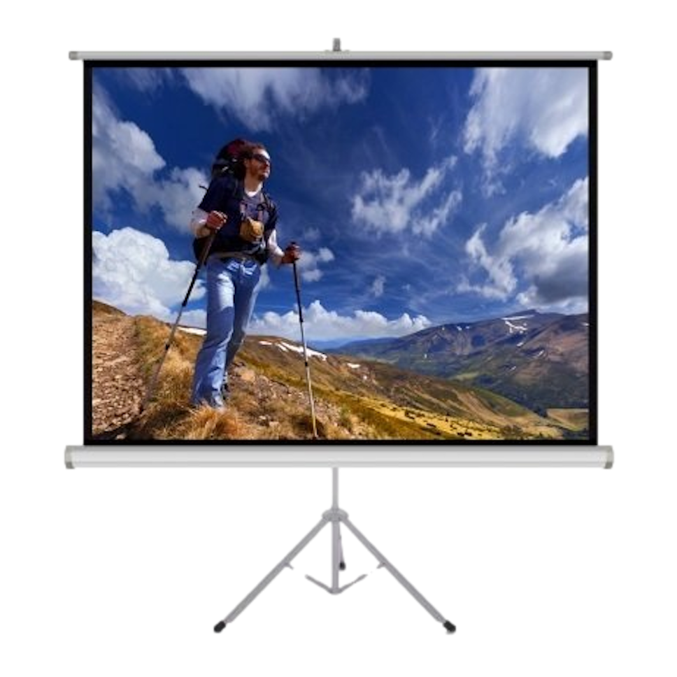 Ekran projekcyjny ART Matt White TS-84 170x127