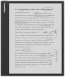 Czytnik e-booków PocketBook InkPad Eo Szary 10,3"