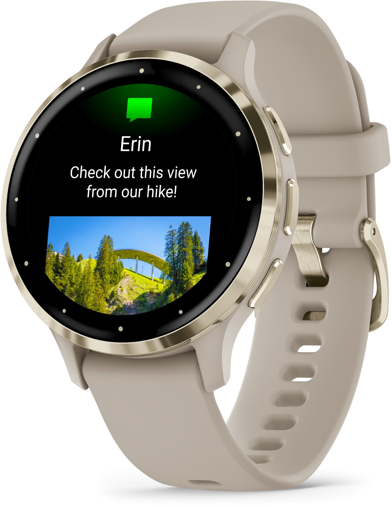 Garmin vivoactive sale hot sale